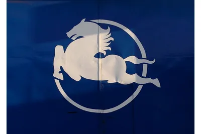 Logo — Pegaso