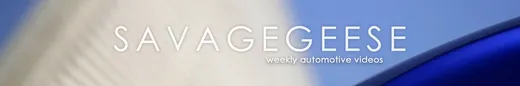 Bannière — savagegeese